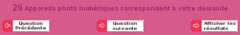 Compario : Agent conversationnel, Questions